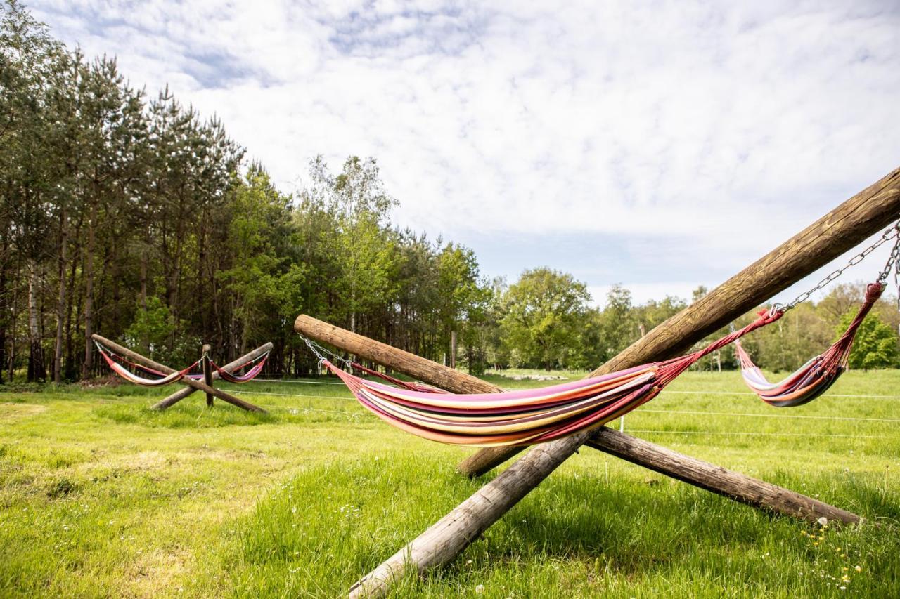 Natuur Lodge Blesdijke Kültér fotó