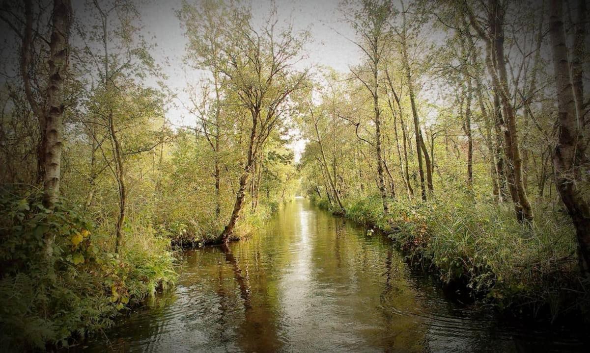 Natuur Lodge Blesdijke Kültér fotó